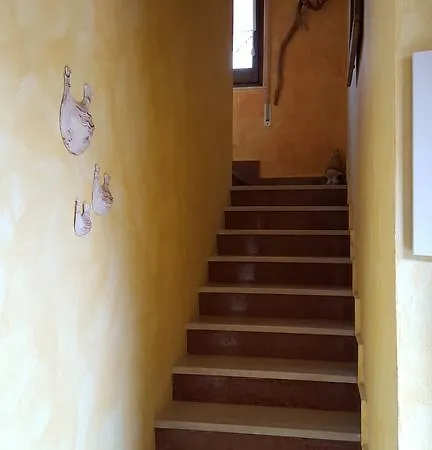 Maison d'hôtes Domu Severino